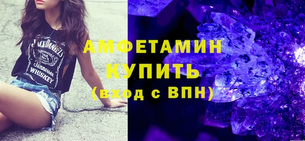 мет Алексин