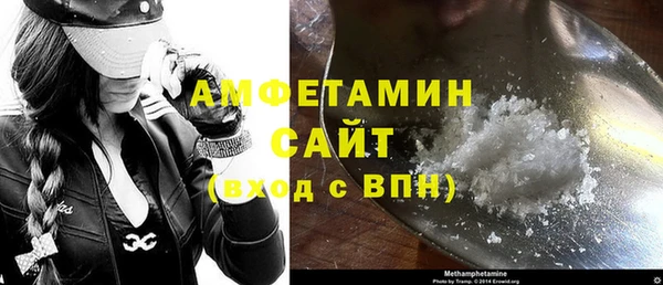 мет Алексин