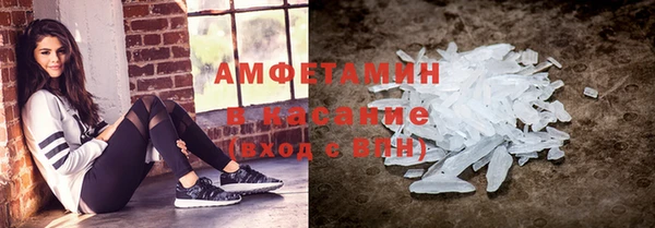 мет Алексин