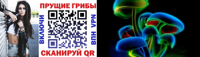 как найти закладки  Гуково  Псилоцибиновые грибы мухоморы 